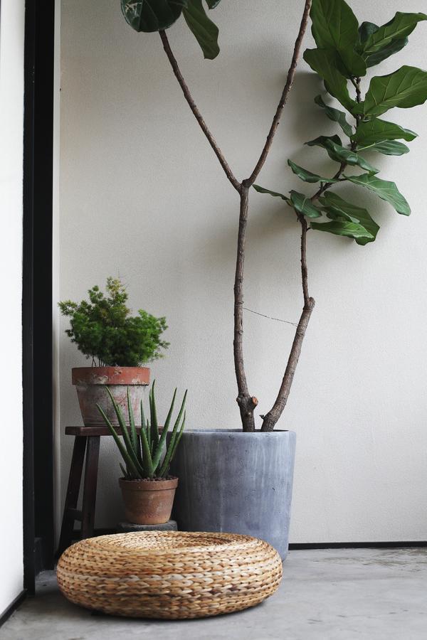 Gulangyu Wulan Tree Hotel Xiamen Zewnętrze zdjęcie